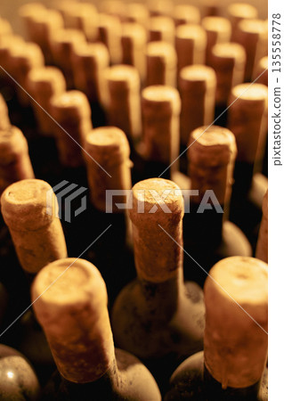 Rows of vintage wine bottles with corks covered in dust and mold Rows of vintage wine bottles with corks covered in dust and mold 135558778