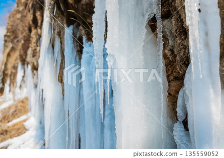 Stunning long blue icicles in winter day. 135559052