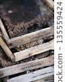 Closeup of old wooden beehive frames with honeycomb texture 135559424