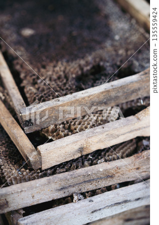 Closeup of old wooden beehive frames with honeycomb texture Closeup of old wooden beehive frames with honeycomb texture 135559424