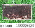 Top view of empty old aged wooden beehive frame lying on green grass 135559425