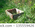Weathered wooden beehive crate in lush green grass 135559426