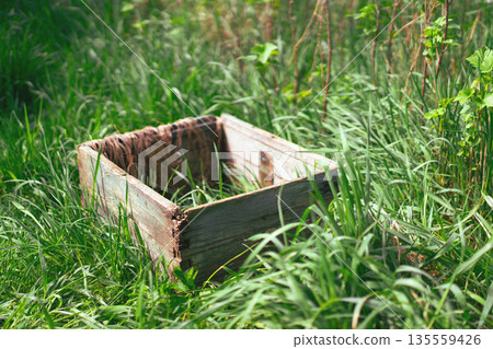 Weathered wooden beehive crate in lush green grass 135559426