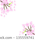 櫻花相框（邊緣簇擁著櫻花） 135559741