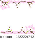 櫻花邊框（上下畫有樹枝的邊框） 135559742