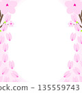 櫻花相框（左右兩框，花瓣從上方飄落） 135559743