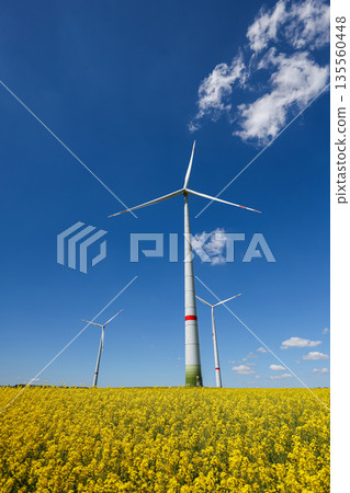 Wind turbine on grassy field against blue sky in countryside. Wind farm in farmland in Europe. Wind power plant generating electricity 135560448