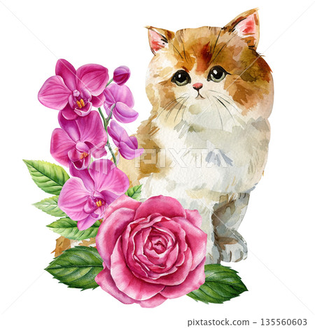 Cute Kitten Watercolor Portrait with Pink Rose and Orchid Flowers Sweet Cat Illustration Isolated 135560603