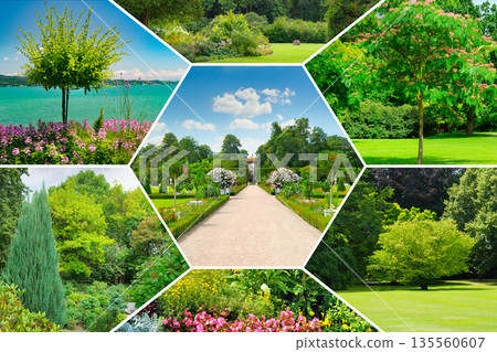 Scenic Green Parkscapes and Floral Displays Collection Scenic Green Parkscapes and Floral Displays Collection 135560607