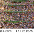 A series of weathered stone steps partially covered with vibrant green moss and fallen brown leaves. The image captures a sense of history, nature reclaiming architecture, and a quiet path in the wood 135561620