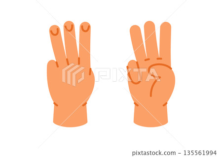 Hand showing number 3 with three fingers raised. Educational flat vector cartoon for early math and counting visuals Hand showing number 3 with three fingers raised. Educational flat vector cartoon for early math and counting visuals 135561994