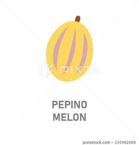 Pepino melon, tropical fruit. Yellow striped exotic fruit icon isolated on white background 135562000