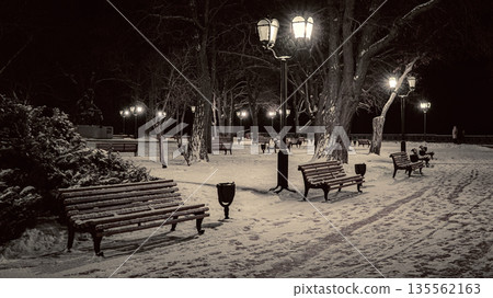 Winter Alley with Snow-Covered Benches and Street Lamps Winter Alley with Snow-Covered Benches and Street Lamps 135562163