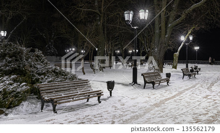 Winter Alley with Snow-Covered Benches and Street Lamps 135562179