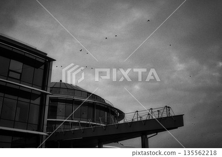 Winter park at night with decorations 135562218