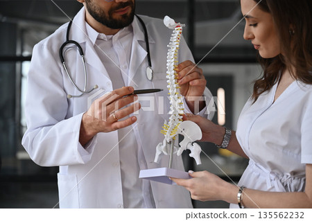 With model of human spine. Two doctors are in the office 135562232