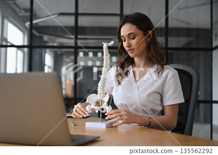 Education conception, with human spine model. Woman doctor is in the office 135562292