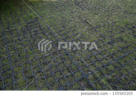 Modern plastic grass paver grid installed over a patchy lawn, providing ground Modern plastic grass paver grid installed over a patchy lawn, providing ground 135563103