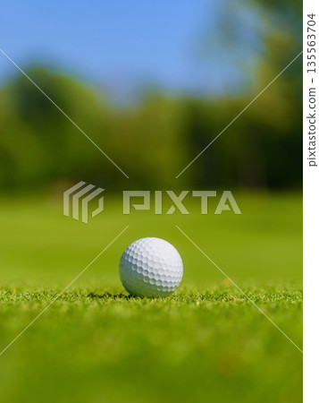 Vertical close-up of a golf ball on green grass under bright sun. Vertical close-up of a golf ball on green grass under bright sun. 135563704