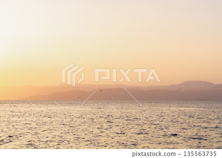 Sunset over the water with distant mountains and birds flying in the sky 135563735