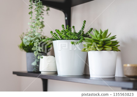 Stylish open space shelves Stylish open space shelves 135563823