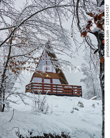 Snow Covered A Frame Cabin in Winter Forest 135564567