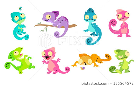 Chameleon. Different salamanders, lizards, chameleons various poses. Vibrant wild characters hunting, looking on insects, sitting on tree branch, nowaday vector set Chameleon. Different salamanders, lizards, chameleons various poses. Vibrant wild characters hunting, looking on insects, sitting on tree branch, nowaday vector set 135564572