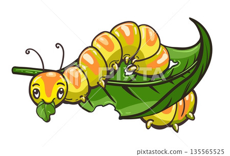 Funny cartoon caterpillar eating leaf 135565525