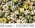 Colorful green and yellow striped pumpkins and squash gourds stacked together as a natural autumn harvest background. 135565700