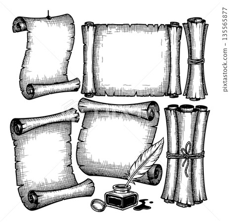 Hand drawn line art scrolls and vintage writing tools set featuring various parchment scrolls, an inkwell, and a feather quill for historical documents and messages 135565877