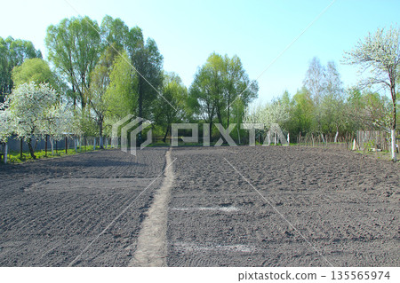 Vegetable garden before planting in spring in village 135565974
