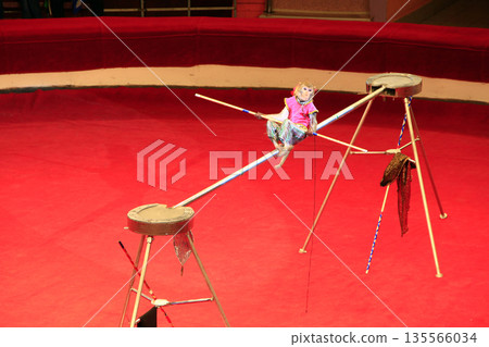 Trained monkey walking on rope with balance beam in Gomel circus Trained monkey walking on rope with balance beam in Gomel circus 135566034