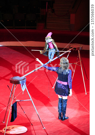 Trained monkey walking on rope with balance beam in Gomel circus Trained monkey walking on rope with balance beam in Gomel circus 135566039