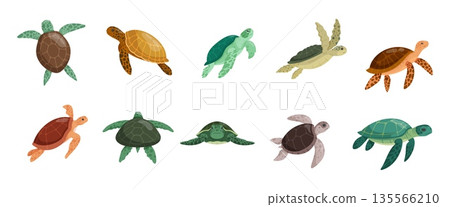 Swim green turtle. Swimming tortoise reptile sea animal in shell, cartoon big turtles leatherback loggerhead galapagos species underwater wild life, kicky vector illustration 135566210