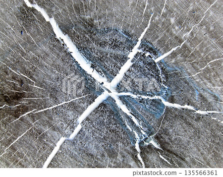 abstract brown texture with cracks. Pattern of dark wood on cut of tree abstract brown texture with cracks. Pattern of dark wood on cut of tree 135566361