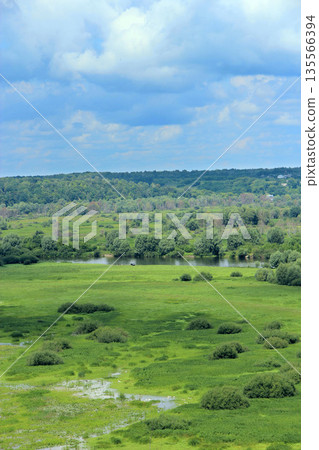 Natural landscape from bird's-eye view. Greenery growing along river 135566394