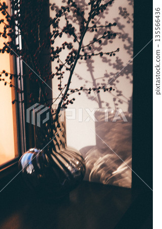 Minimalist interior still life featuring a transparent glass vase with red berry branches placed on a windowsill. Warm natural sunlight creates an elegant play of shadows and light play on the wall. 135566436