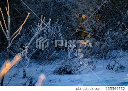 Diamond dust 135566552