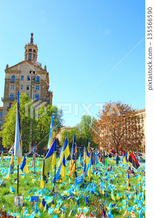 Small flags on the main street of Ukraine in memory of fallen soldiers in war 135566590