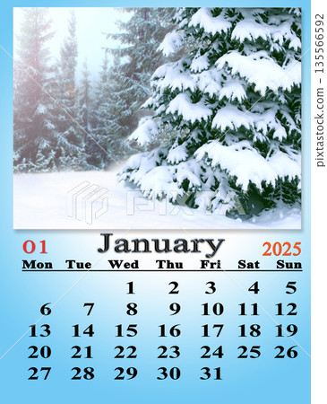 calendar for January 2025 with image of fabulous forest. January calendar 135566592