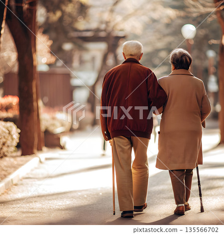 Back View of Senior Couple Walking with Cane in Sunny Park 135566702