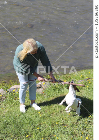 Woman having fun with their Jack Russell Terrier dog. Woman playing with pet Woman having fun with their Jack Russell Terrier dog. Woman playing with pet 135566860