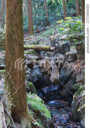 Saitama Prefecture: Fudo Falls [Ishisonyama - Kannokurayama Hiking Course] Ogawa Town 135566880