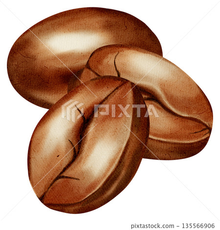 Watercolor illustration of coffee beans. Coffee bean set. A set of watercolor illustrations for coffee shops, cafes, packaging, menus, and product design. Watercolor illustration of coffee beans. Coffee bean set. A set of watercolor illustrations for coffee shops, cafes, packaging, menus, and product design. 135566906