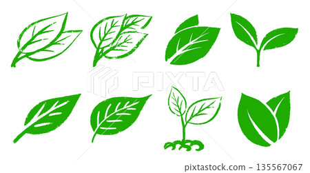 Green leaf and collection of grunge leaves for ecology logo. Simple elements of tree and bio, vegan Green leaf and collection of grunge leaves for ecology logo. Simple elements of tree and bio, vegan 135567067