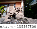 Shisa 135567500