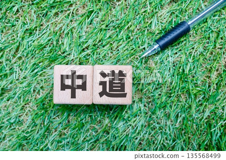Wooden block image on grass representing the political center. Wooden block image on grass representing the political center. 135568499