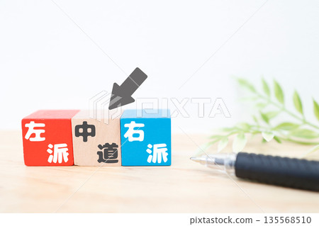 Arrow and wooden block showing the middle path. A concept between left and right. Arrow and wooden block showing the middle path. A concept between left and right. 135568510