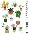 Hand-drawn houseplant and potted plant illustration set 135568557