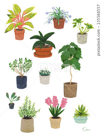 Hand-drawn houseplant and potted plant illustration set Hand-drawn houseplant and potted plant illustration set 135568557